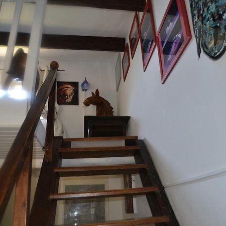 Gites Chambres D'Hotes Mazet Du Marechal Ferrant Сент-Мари-де-ла-Мер Экстерьер фото